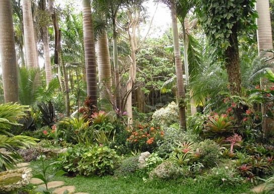 Jardins tropicaux