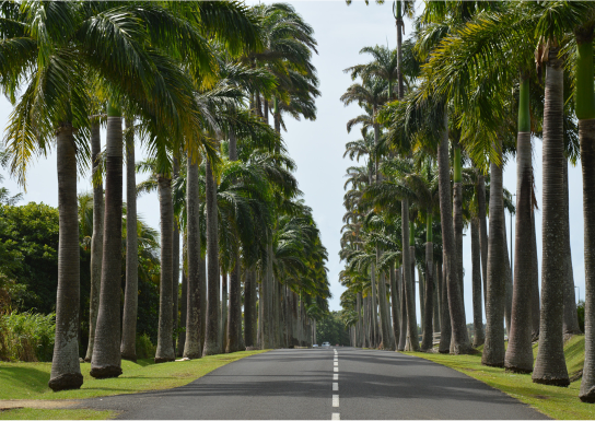 Dates à retenir Guadeloupe