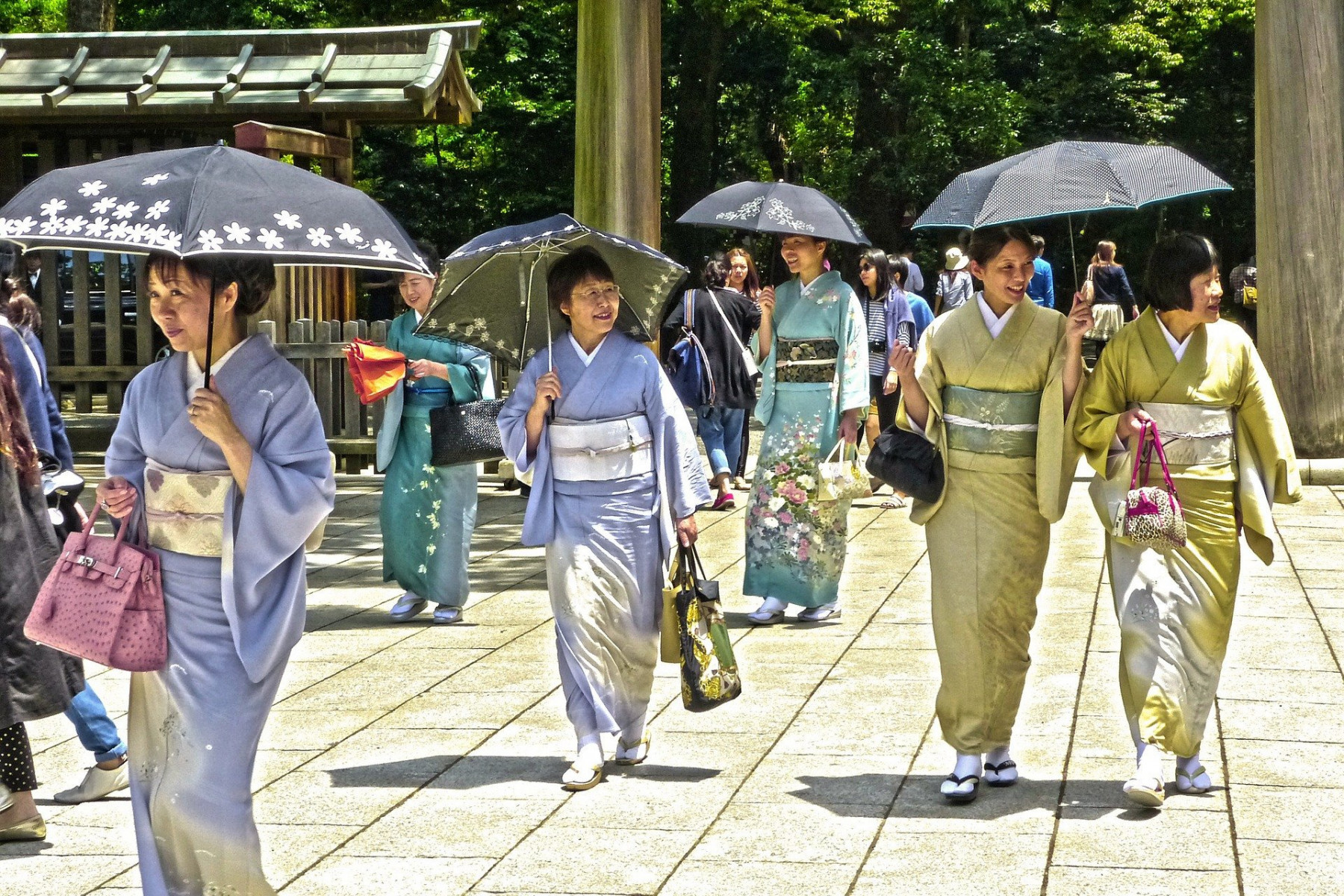 Samouraïs et Jardins zen 