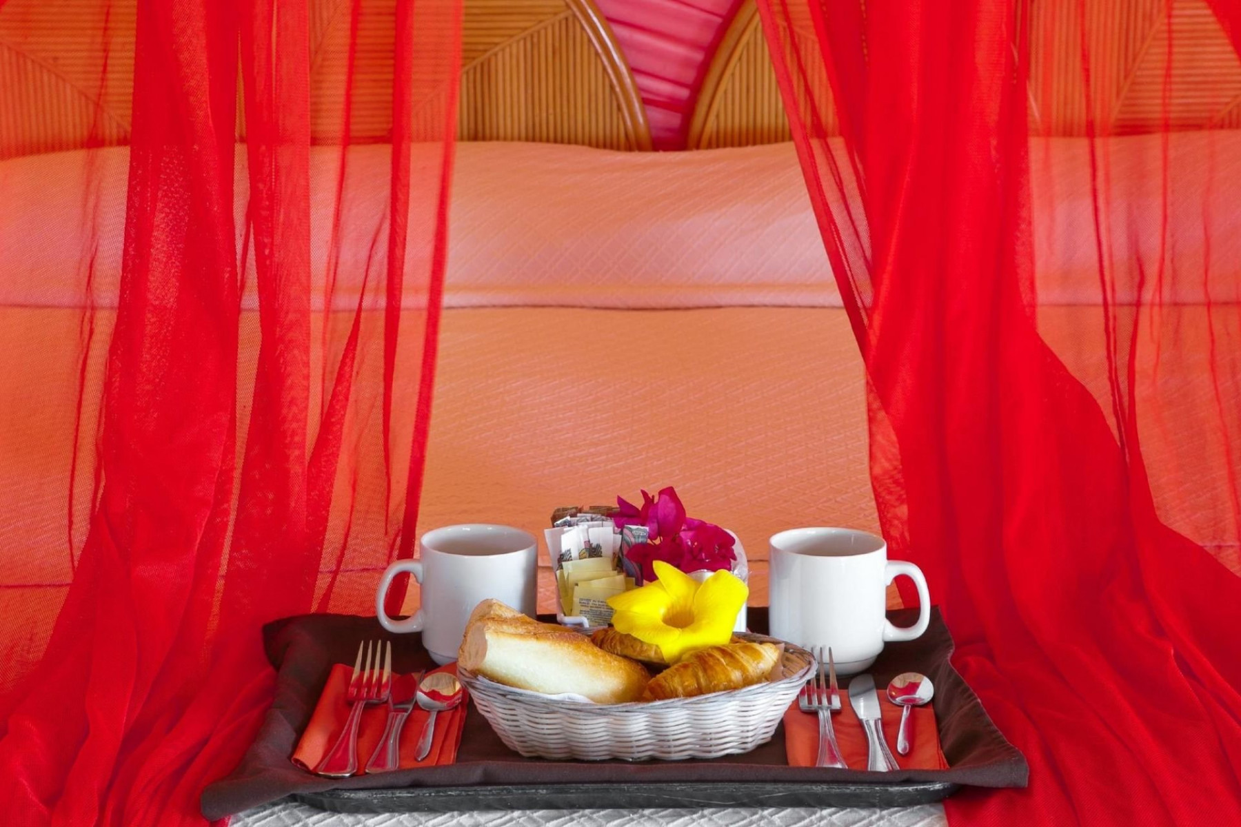 La Plantation - Saint Martin 2026