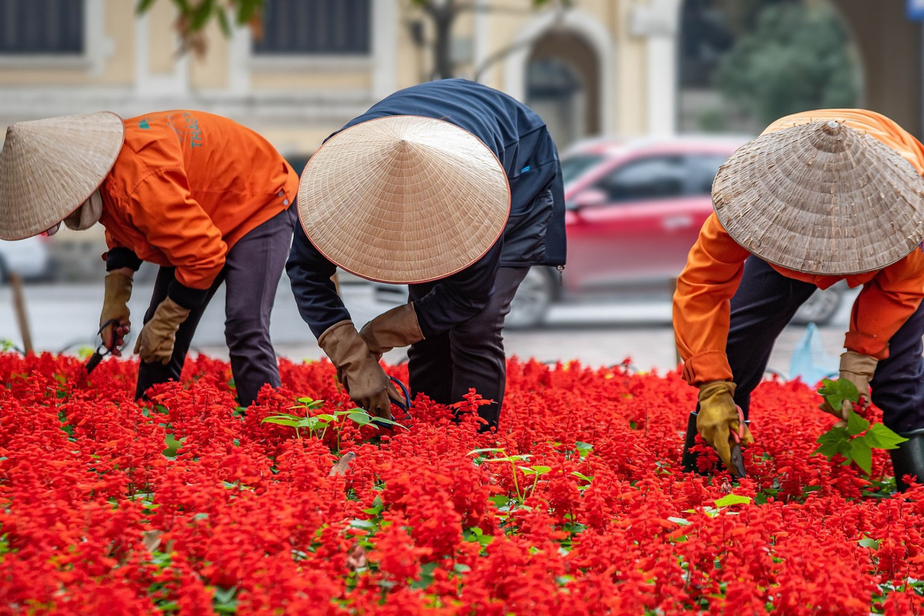 Vietnam Intimiste