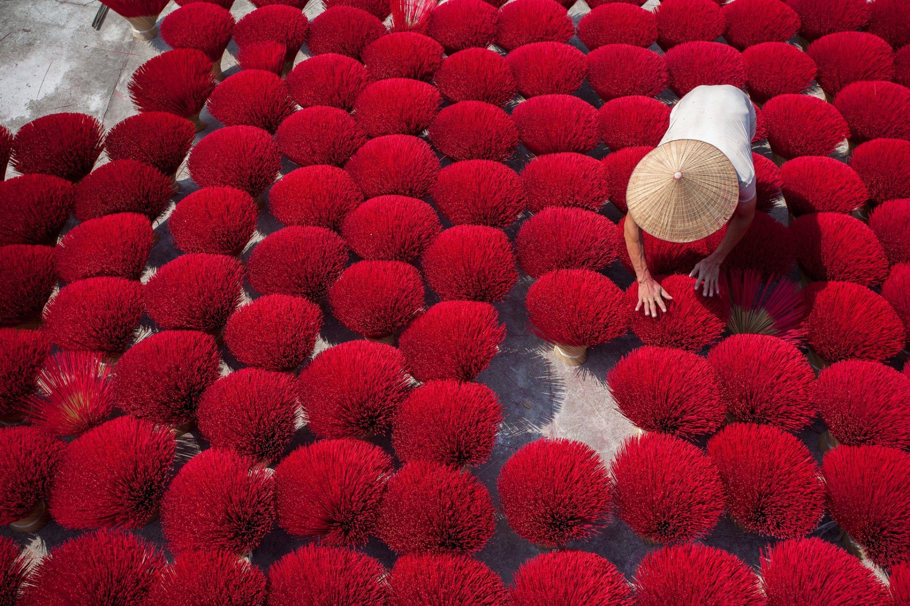 Vietnam essentiel