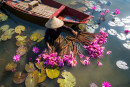Vietnam essentiel