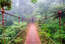 ENTRE VOLCAN ET PLAGES - COSTA RICA  2027