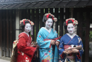 Circuit Symphonie Nipponne de Kyoto à Tokyo