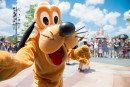 DISNEY MUSIC FESTIVAL
