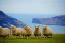 Splendeurs de Nouvelle Zélande 18J/14N - 2025