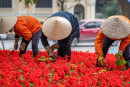 Vietnam Intimiste